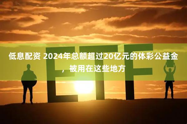 低息配资 2024年总额超过20亿元的体彩公益金，被用在这些地方