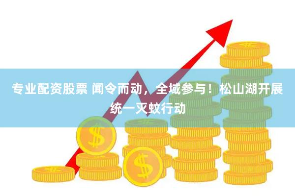 专业配资股票 闻令而动，全域参与！松山湖开展统一灭蚊行动