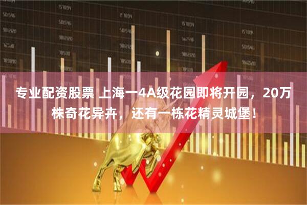 专业配资股票 上海一4A级花园即将开园，20万株奇花异卉，还有一栋花精灵城堡！