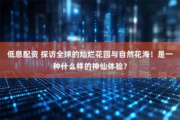低息配资 探访全球的灿烂花园与自然花海！是一种什么样的神仙体验？
